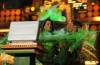 slime